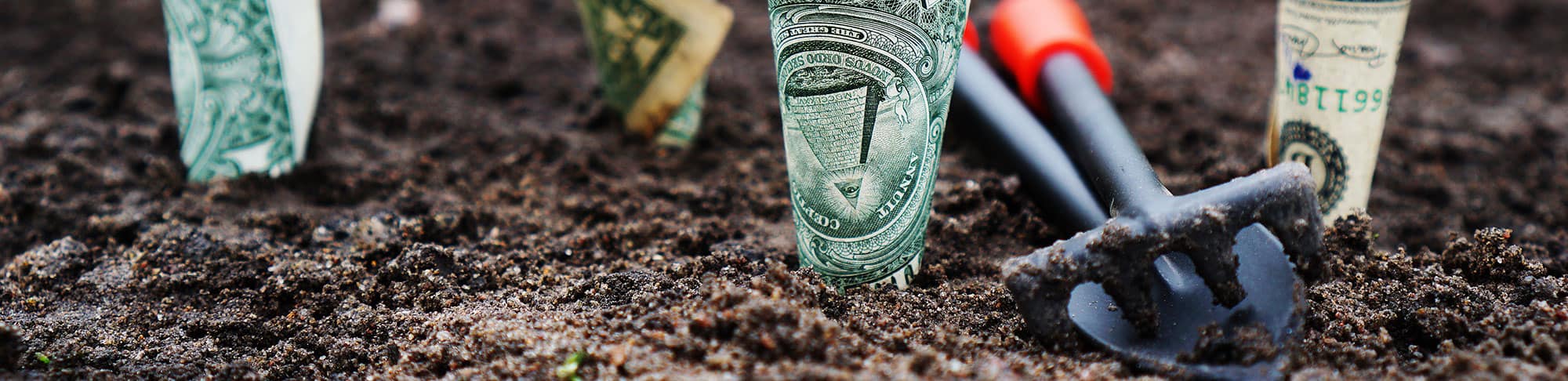 Prospus Launches $1mn Investment Fund