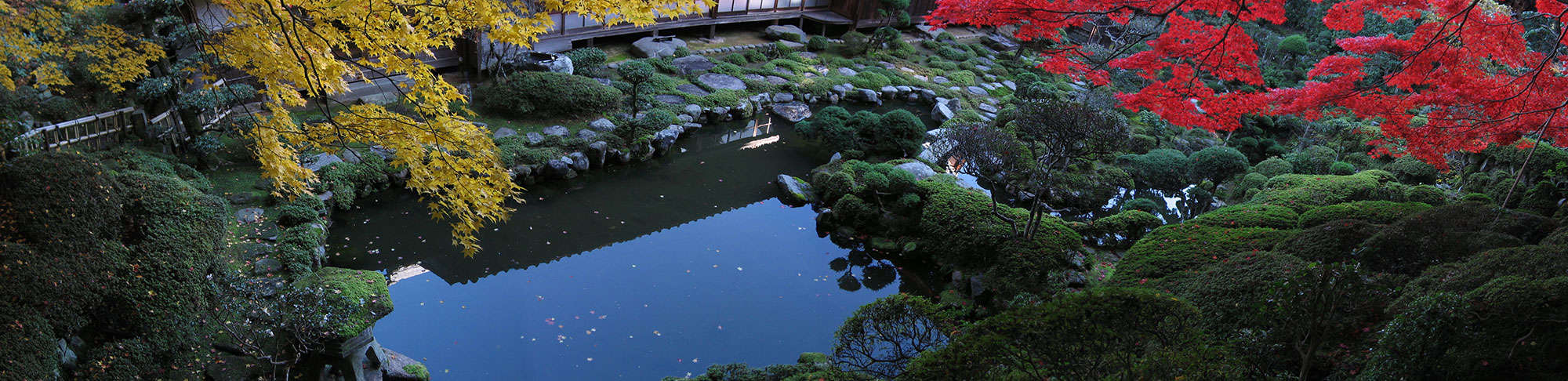 Prospus to Attend JALT 2014 in Japan