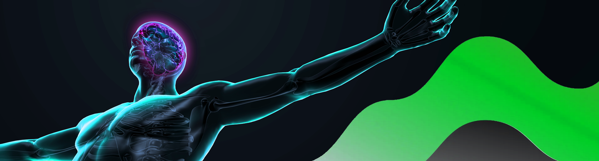 The Essential Digital Body Parts